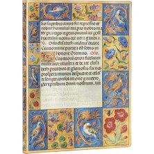 Paperblanks   Yumuşak Kapak Flexis - Spinola Hours - Ultra - Çizgili