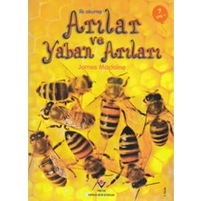 Ne Verelim Size Ilk Okuma - Arılar ve Yaban Arıları