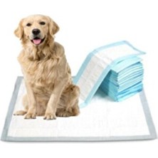 Empressco Yumuşak ve Pratik Kedi ve Köpek Çiş Pedi Seti, 60X90 Cm, 3 Paket, 60 Adet