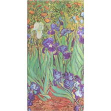 Paperblanks Van Gogh's Irises Slim Çizgili Defter