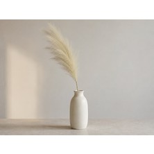 Elif Aksesuar Pampas Grass Ithal Pofuduk Dökülmeyen Cins Bej