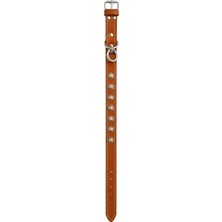Dayı Pet Dayıpet Büyük Boy Deri Köpek Tasması 70 cm