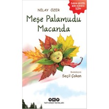 SBN - Store Meşe Palamudu Macanda