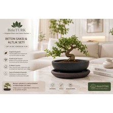 BitkiTÜRK 20X9 cm Beton Saksı ve Altlık Seti – Sukulent, Kaktüs ve Iç Mekan Bitkileri Için Dekoratif Saksı