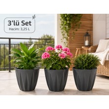 Hep İndirimli Bade Premium Çiçek ve Bitki Saksısı 3lü Set