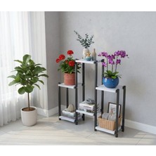 RetoDesign Lotus Çiçek Rafı, Saksılık Çiçek Standı 1905