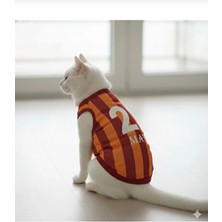 Empressco Kişiselleştirilebilir Evcil Hayvan Forması, Renkli ve Rahat Tasarım
