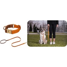 Empressco Renkli Köpek Boyun Tasması ve Gezdirme Kayışı Seti, Şık ve Konforlu Kullanım