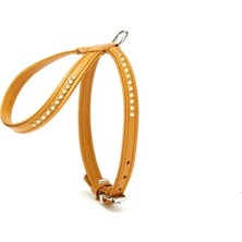 Uravas Store Taşlı Deri Köpek Göğüs Tasması 1,2 x 25-35 cm Kamel