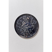 Paşabahçe Cosmos Tabak 28 Cm, 1 Adet
