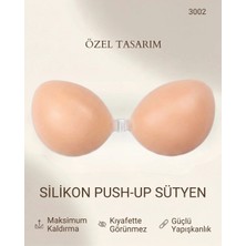 Beruflic Anı 3002 Etli Sütyen