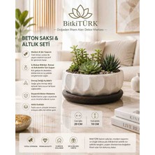 BitkiTÜRK 20X10 cm Beton Saksı ve Altlık Seti – Bonsai, Sukulent ve Iç Mekan Bitkileri Için Dekoratif Saksı