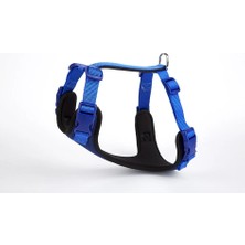 Uravas Store Halı Köpek Göğüs Tasması 30X35 cm Mi