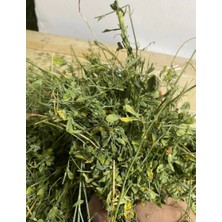 Ogwanto Yonca Kuru Kemirgen Otu 350 gr Bol Çiçekli | Doğal Tavşan Yemi | Hamster Için Premium Yem