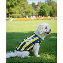 Empressco Kedi ve Köpekleriniz Için Kişiselleştirilebilir Şık Formalar