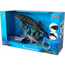 Uravas Store 65891 Deniz Canlıları Figürleri 6602-5