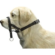 Uravas Store Beeztees Köpek Eğitim Tasması, Siyah, L