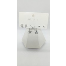 Silver Renk Yıldız Küpe Seti