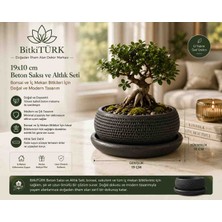 BitkiTÜRK 19X10 cm Beton Saksı ve Altlık Seti – Sukulent, Bonsai ve Iç Mekan Bitkileri Için Dekoratif Saksı