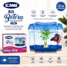 Lomas Beta Kit 1.8 Lt