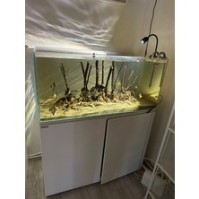 Orionled Nano Serisi Akvaryum LED Aydınlatma - Tüm Akvaryum
