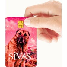 Huggy Craft Sivas Kart Kaplama Sticker Kart Etiketi (Yüksek Kaliteli Hologramlı Baskı)