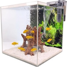 Kanki Pet 40X40X40 Nano Akvaryum Seti 6mm Ultra Clear Cam Rodajlı Full Aksesuarlı