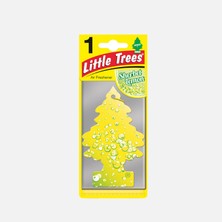 Car Freshner Asma Koku Limon Şerbeti