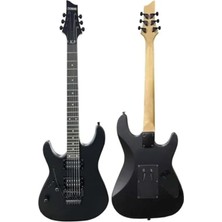 Profesyonel Elektro Gitar Seti, Akçaağaç Gövde ile
