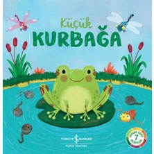 Uravas Store Küçük Kurbağa – Doğanın Eşsiz Hikayeleri 7