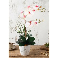 Sally Home Mika Saksıda 2li Yapay Islak Orkide Tanzimi Beyaz-Beyaz 65 cm