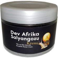 Alvera Collection Hintohu Yaşlanma Karşıtı Dev Afrika Salyangozu Kremi 100 ml