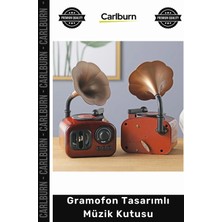 Carlburn Özel Üretim Nostaljik Retro Radyo Görünümlü Kurmalı Mekanik Masaüstü Gramofon Tasarımlı Müzik Kutusu