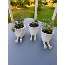 Tuel Hareketli Bacaklı 3D Baskı Saksı - Modern Dekoratif Sukulent ve Kaktüs Saksısı