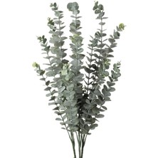 Sally Home 3lü Set Yapay Çiçek Pastel Yeşil Okaliptus 3dallı Uzun Dal 76CM Eucalyptus- Sallyhome