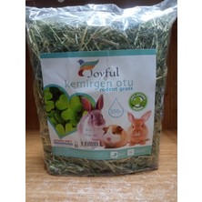 Joyful Kemirgen Yoncası 350 Gram