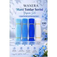 Waxera Mavi Tonlar Serisi Şönil Tel Seti – 100 Adet Dıy El Işi Çiçek Yapım Teli