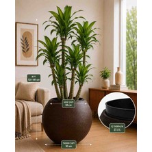 Küre Saksı 30 cm Iç Drenaj Hazneli Ekspresso Renk Dekoratif Salon Balkon Saksı