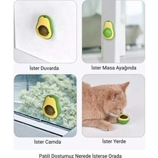 Uravas Store Mey Ithalat® Avokado Kedi Nanesi Cat Mint Oyun Topu