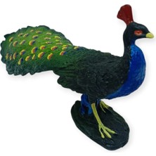 Die Grup Hayvan Figürleri - Kuşlar -18 cm Tavus Kuşu
