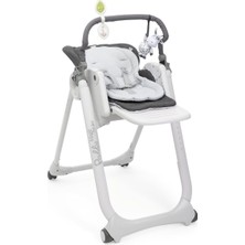 Die Grup Chicco Polly Magic Relax Mama Sandalyesi Grey Melange