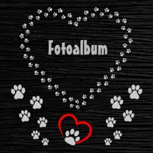 Shopwave Independently Published Fotoalbum Haustiere Meerschweinchen Kaninchen Hamster Zucht Buch Hunde Katz