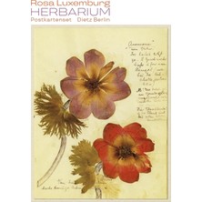 Shopwave Herbarium Postkartenset: 10 Motive Aus Rosa Luxemburgs Herbarium