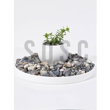 Doğal Nazilli Dere Çakıl Taşı, Tamburlanmış Dekoratif Taş, 1-2 Cm, 1 Kg, Saksı Dibi, Akvaryum ve Bahçe Düzenleme Için
