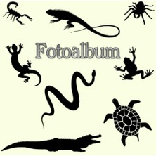 Shopwave Independently Published Fotoalbum Reptilien Kriechtiere Fische Schlangen Eidechsen Geckos Schildkrö