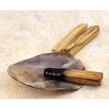 Bg Store Miebox Wish Kit Placuna Enerji Başlangıç Seti : Palo Santo Tütsü ve Placuna Deniz Kabuğu Tütsülük