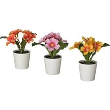 Fejka Saksılı Yapay Bitki, Karışık Renkler, 6 Cm, Çuha Çiçeği, Iç-Dış Mekan