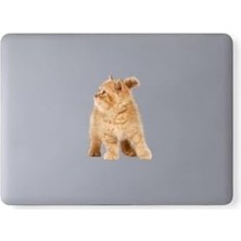 Alkar Store Karışık 260 Adet Sevimli Kediler Notebook, Tablet, Telefon Sticker Seti (20 Sayfa) Tek Ebat