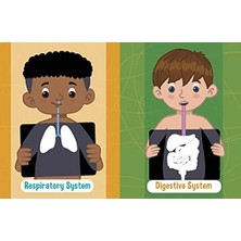 Jumbo Stickers For Little Hands: Human Body: Includes 75 Stickers: Volume 1
