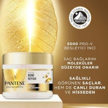 Pro-V Miracles Molecular Repair Yenileyici Pro-V Besleyici Inci ile 300 ml